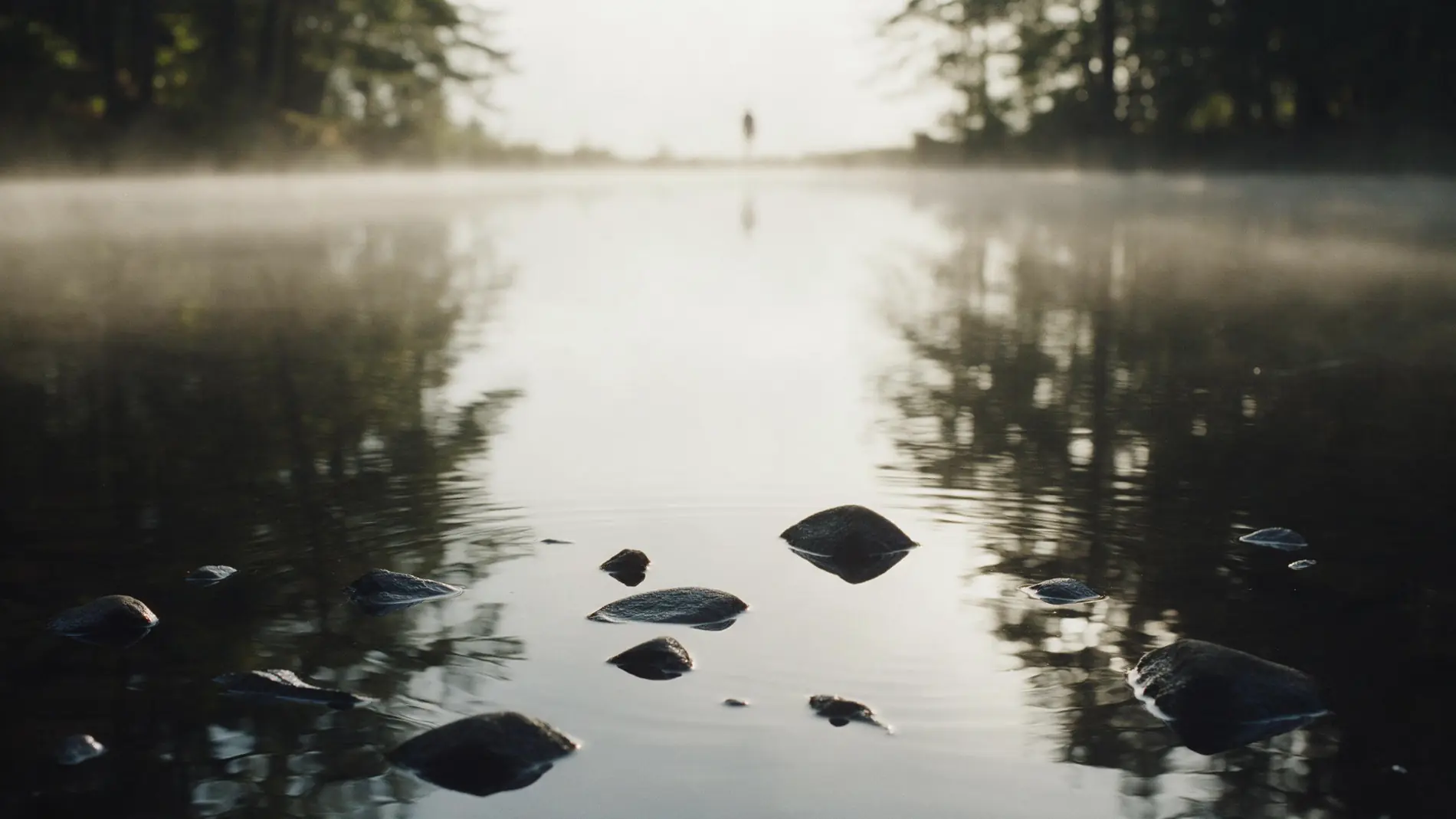 Stiller Waldsee im Morgengrauen, blasser Nebel über der Wasserfläche, Steine brechen die Oberfläche.